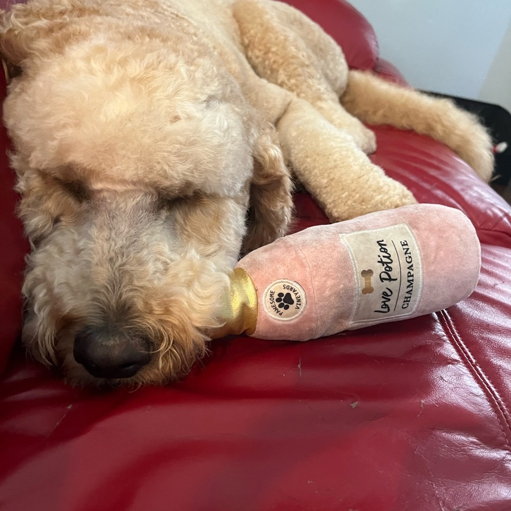 Meet your Posher, Dee